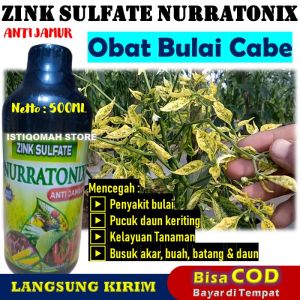 PROMO COD Pupuk Obat Bulai Pada Tanaman Cabe ZINK NURRATONIX 500ML Pupuk Pencegah Penyakit Bulai Cabe Bule Cabai Rawit Cabe Hijau Cabe Kriting Obat Bulai Cabe Merah paling Ampuh
