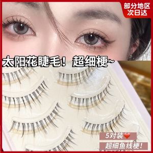 Little Fish Begonia Recommend SUNFLOWER Fake Eyelashes Female Natural Simulation Sheer Root Cartoon Barbie Princess Eye Eyelashes