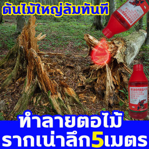 1 หยดรากเน่า ยาฆ่าต้นไม้ใหญ่ 200ml 1ขวดเทากับ 20ขวด บริการยาฆ่าตอต้นไม้ รากและรากตาย ยาฆ่าตอไม้ ราคาที่น่าสนใจ การเสริมจมูกด้วยสาร การแก้ไขความยืดหยุ่นของต้นไม้ ความปลอดภัยสูงสุด สำหรับหลายประเภทของหน้าเสีย ยากำจัดต้นไม้ ยาฆ่าหญ้า ยากำจัดต้นไ