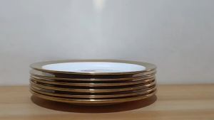 Set for 6pieces Luxury Porcelain Gold Rim Dinner Plate /9 Size inches