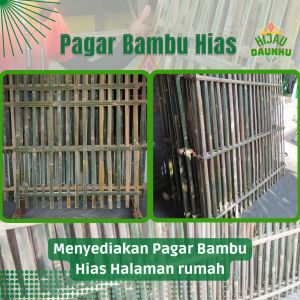 Pagar Bambu Hias Halaman Rumah Dan Taman Siap Pakai