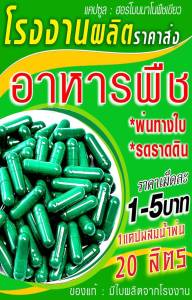 เขียวนาโน แคปซูล อาหารพืช  เร่งยอด เร่งดอก ผลดก   ราคาส่งจากโรงงาน