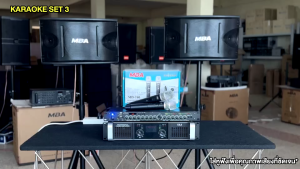 WEMICGLOBALSOUND ชุดคาราโอเกะภายในบ้าน ลำโพง10นิ้ว กำลังขับ600วัตต์ POWER AMP  ปรีแอมป์ มีบลูทูธ ไมค์ลอยคู่ พร้อมขาตั้ง