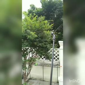 CANEL&CO Manual & Elektrik 16 Liter Sprayer Tangki Semprot Alat Hama Padi Tanaman Kebun Penyemprot