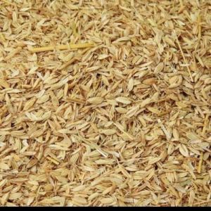 Sekam padi kering asli 500gram