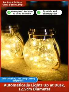WENWEI | Solar Waterproof Outdoor Garden Decorative Light