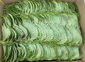 Sỉ lá mè Hàn Quốc 300gr (100~150 lá)