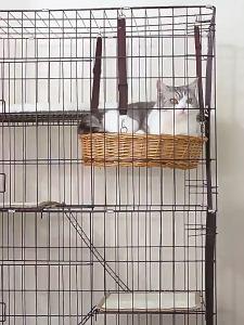 3/ 4 Layer Pet Cage Foldable Cat Cage Bird Cage Foldable Pet Furniture Cat Cages With Wheels