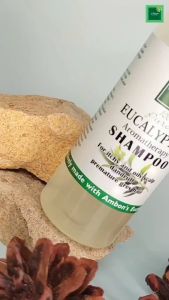 Shampoo Minyak Kayu Putih Anti Kerontokan Anti Ketombe dan Gatal Rambut