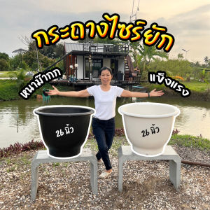 กระถาง 26 นิ้ว กระถางไซร์ยัก อ่างบัว หนาพิเศษ ทรงเตี้ย