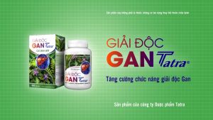 Giải độc gan Tatra Cà Gai Leo lọ 60 viên - Hỗ trợ tăng cường chức năng gan thanh nhiệt giải độc gan người vàng da mệt mỏi nổi mề đay