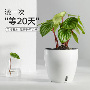 Special Lazy Flower Pot for Scindapsus Automatic Suction Hydroponic Indoor Desktop Household Extra Large Medium Plastic Flower Pot for Flower Growing
