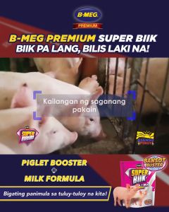Booster+Milk Formula 1kg for PIGLETS Bmeg Super Biik Booster Milk for animals for pigs