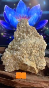 Đá Thạch Anh búp lắp lánh hoa màu vàng Citrine tự nhiên năng lượng cộng sinh Tuormaline 896