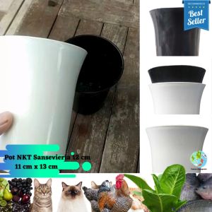 (6 pc) Pot Bunga Sense NKT Sansevieria Ukuran 12