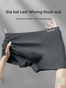 MiiOW | Quần lót nam Catman Cotton nguyên chất Quần đùi thể thao thoáng khí đơn giản Quần đùi nam mùa hè 2025 Quần đùi nam thoáng khí