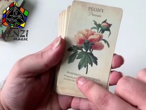 Kartu Oracle Botanical Inspirations Oracle Decks