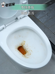 Laoguanjia Oxalic Acid Cleaner Bathroom Toilet Cleaner Toilet Floor Tile Deep Stain Removal 500g老管家 草酸清洁剂 浴室马桶清洁剂