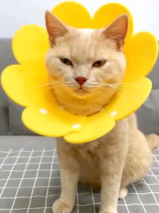 Pet Elizabeth collar Cat Collar Adjustable Cone Neck Recovery Soft Foam Collar Anti licking Head Cover Dog Neckband Sterilization Collar anti bite neck ring