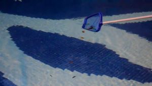 Vợt rác bề mặt tăng cường bể bơi Vợt rác nông lòng hồ bơi