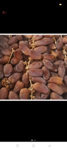 KURMA TANGKAI TUNISIA/KURMA SEGAR