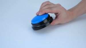 Pet Training Bell Kucing Anjing Tersedia Multi Warna