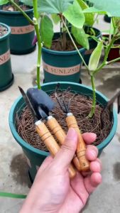 Dụng cụ làm vườn mini Bộ dụng cụ làm vườn mini cao cấp 3 món cán gỗ bộ làm vườn trồng cây cảnh bonsai PVN7878