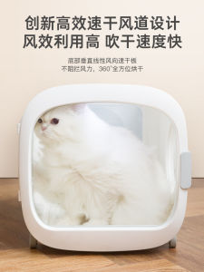 Qingdu Mute Drying Baker for Pet Puppy Cat Bath Blowing Drying Water Remover Hair Disinfection Odor Chassis Device