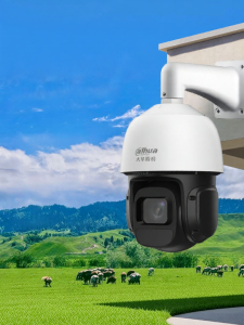 Dahua | HD Night Vision Remote Access Network Dome Camera With SD Card Storage