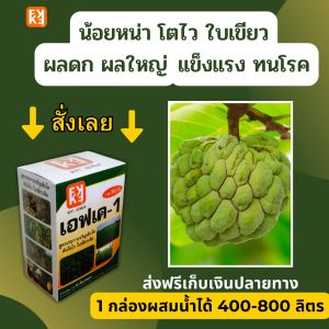 น้อยหน่า โตไว ใบเขียว ผลใหญ่ ผลผลิตดี ฉีดพ่นปุ๋ย FK-1 ต้นทุนต่อไร่คุณหลือ 4 เท่า เพิ่ม 20 เปอร์เซ็นต์