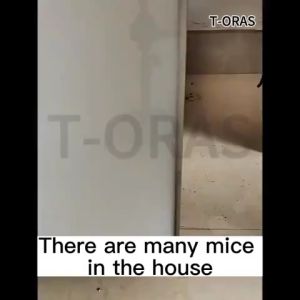 10PCS Mouse Repeller Rodent Repellent Rat Killer Mothballs Powerful Mouse Repeller Rat Repellant for Car Powerful Rats Repeller Mothballs for Rats