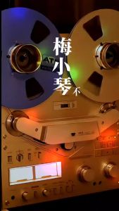 USB MUSIC【HI-FI发烧】 人声 华语/粤语 爆红 经典 金曲专辑│绝对值得收藏│HI-RES / 24bit - wav / DSD64 │现货 Ready Stock