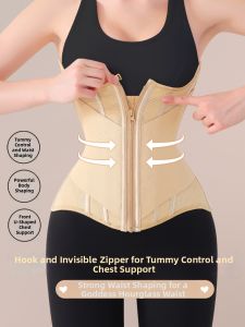 MISTHIN | Zipper Slim Waist Shaping Belt Three-Layer Design