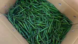 Cili Akar Hijau Besar (Cabe Cabai) Premium - Segar dari Ladang 100g/500g/1kg