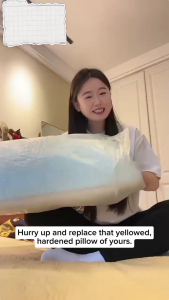 ⭐New Upgraded⭐Summer Ice Silk Cool Bean Pillow | Ergonomic Cervical Support Anti-Bacterial Anti-Mite Fluffy Quick Rebound Washable Bed Pillow For Adults