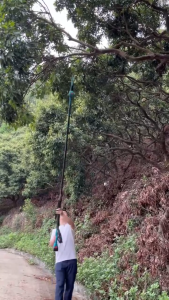 การตัดแต่งต้นไม้ผล Makita กรรไกรไฟฟ้าเลื่อยโซ่ไฟฟ้าแขนยาว ที่จับก้านขยาย เสาขยายกิ่งไฟฟ้า 1.07 ~ 2.05 เมตรเสา 180 °หมุนได้ กรรไกรตัดกิ่งไม้สูง