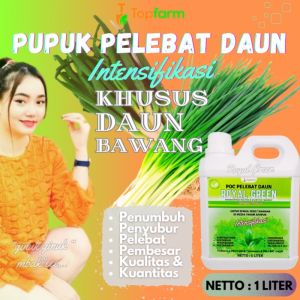Pupuk Penyubur Bawang Daun: Cara Meningkatkan Produksi