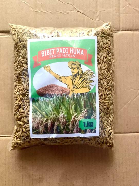 Bibit%20PADI%20Huma%20beras%20merah%205kg%20-%20Image%205