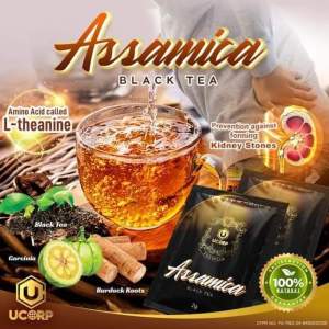 Assamica Black Tea | Trial Pack | 10 Sachets Tea Bag