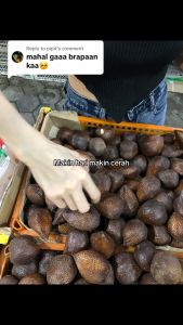 Sabun Dosting Anggur Love - Sabun Love Ungu Shimai Skin Shimaiskin Hb Dosting Anggur Asli Bpom