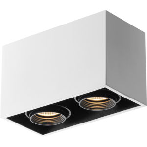 LED Surface Mounted Double Head Ceiling Light for Living Room Accent Lighting