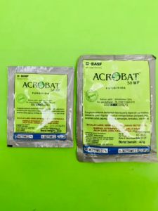 Fungisida cegah bulai jagung ACROBAT 50WP dari BASF