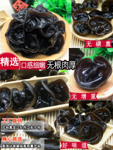 Lin Yan Da Northeast Autumn Dried Black Fungus 250g Rootless Thick Meat Special Product from Heilongjiang Mudanjiang Dongning