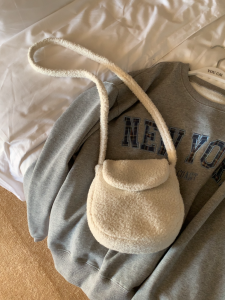 Fall Winter Plush Crossbody Bag Simple Shoulder Handle Small Fur Bag Korean Style Youth Casual Handbag Artificial Fur Material