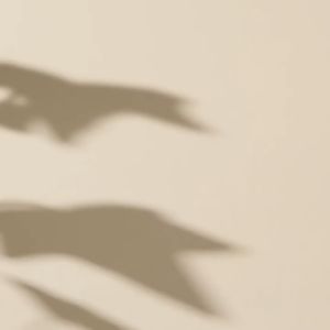 GL 18K Gold Korean Fashion Temperament Crystal Evergreen Leaves Design Earrings ES6908