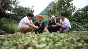 Xoa bóp thảo dược Vietherb