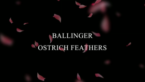 Bulu Bulu Hiasan 20-25 Cm / Ostrich Feather / Accesories Wanita / Fashion / Decor Party