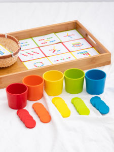 Color Matching and Cognitive Development Toy