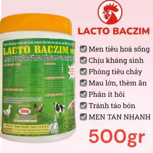 Men Sống Lacto Baczim (500g và 100g) giúp tiêu hoá tốt mau lớn thèm ăn trên gà heo gia cầm