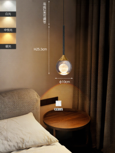 PAIMIJI | Height Adjustable Small Modern Minimalist Glass Pendant Light